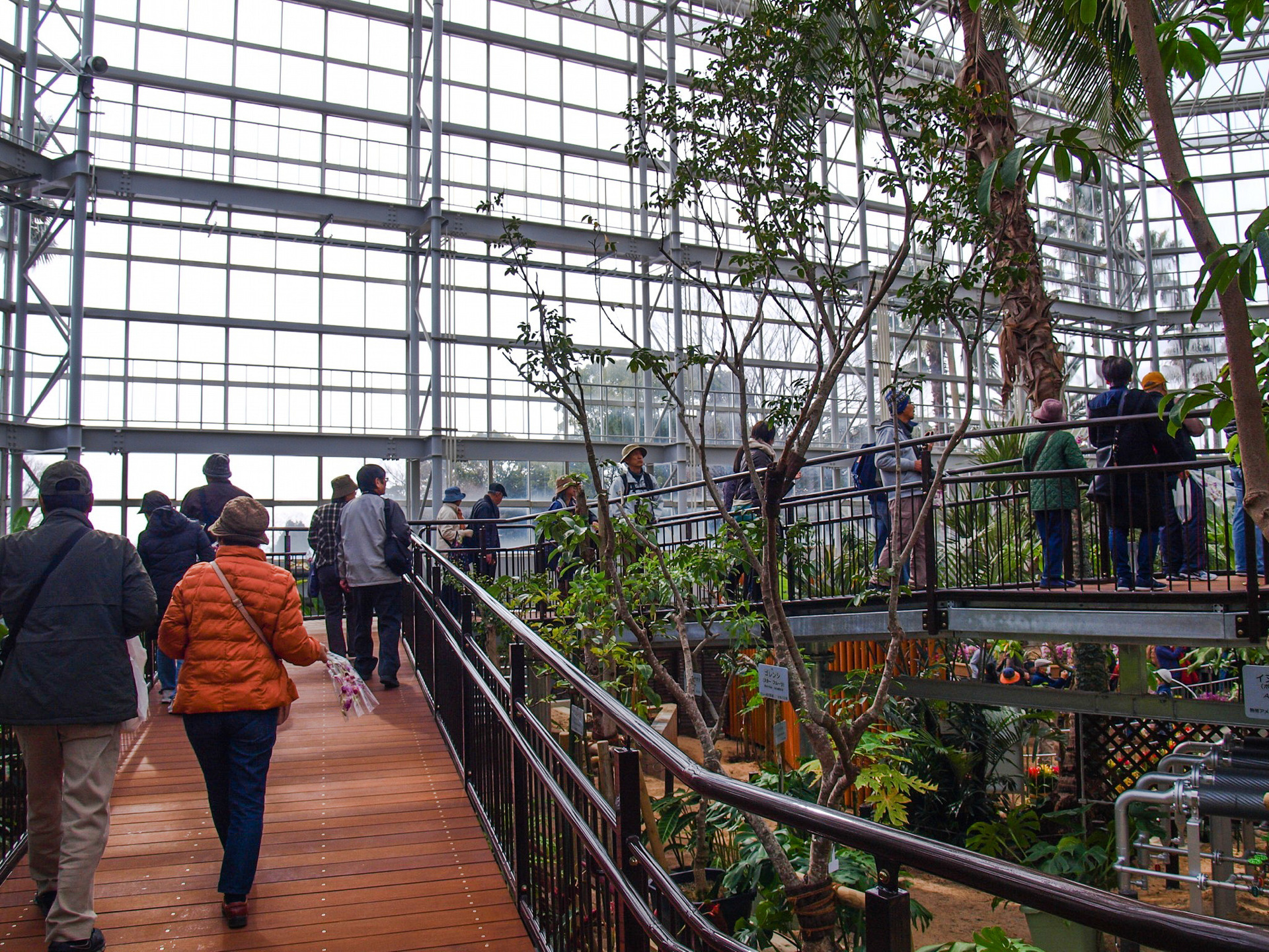 広島市植物公園 大温室リニューアルオープン じぞぶら